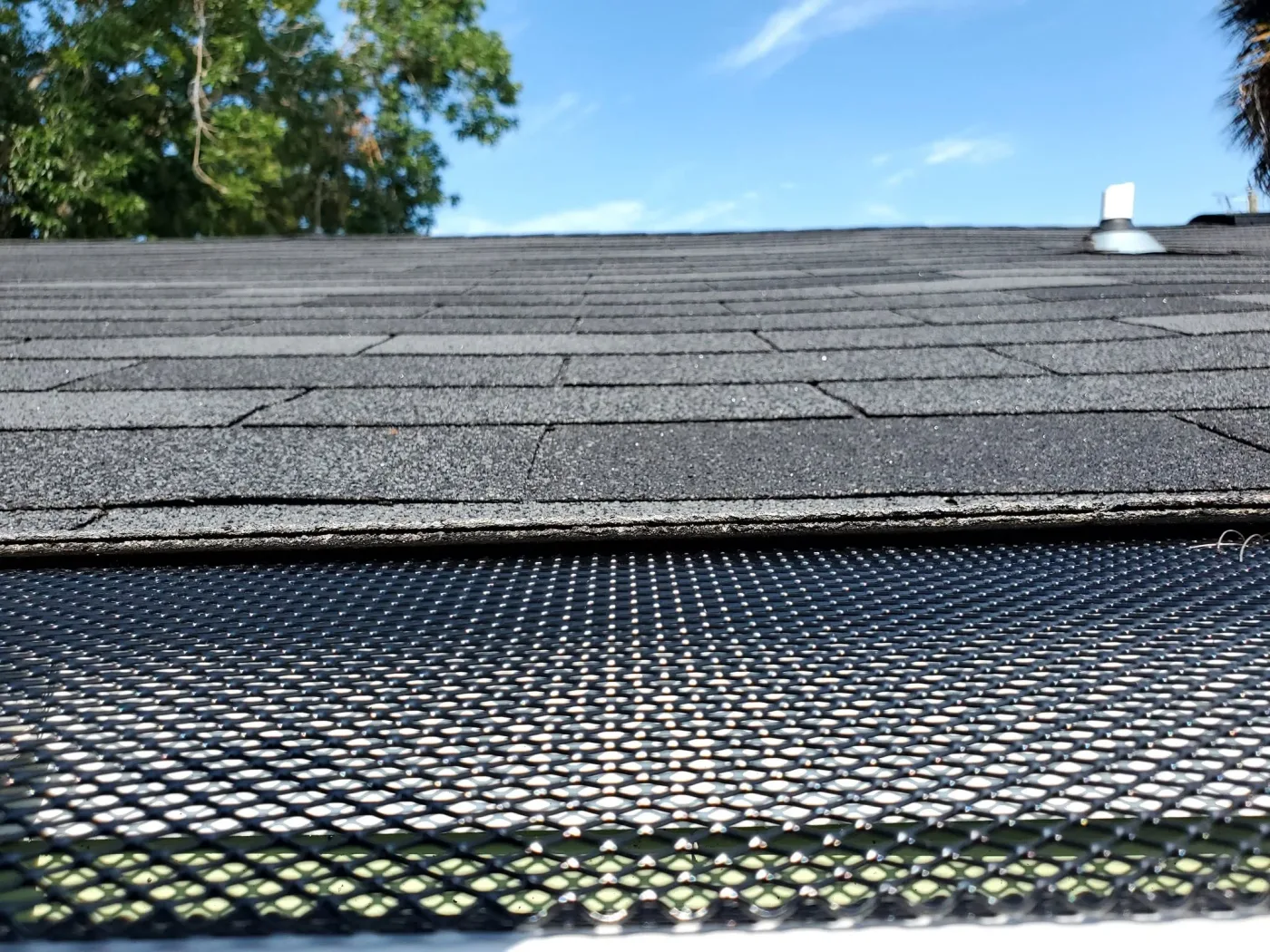 Black stainless micro-mesh gutter guard installed along a shingle roofline, keeping the gutter clear