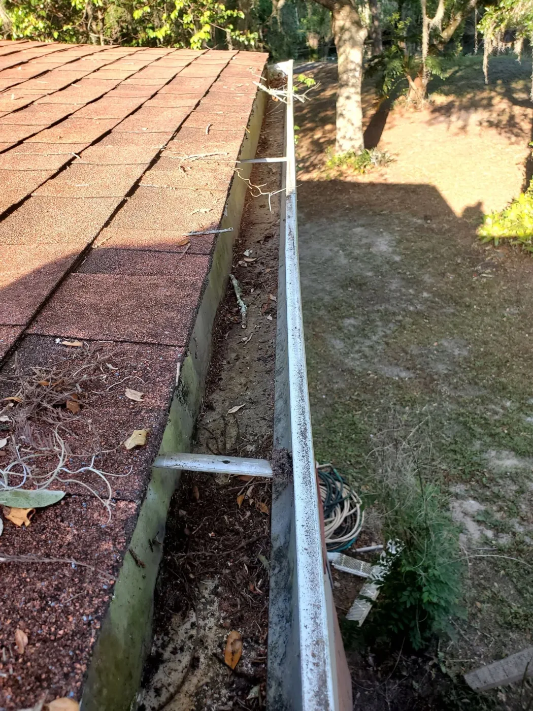 A long gutter run full of pine needles and dark staining before any guard was fitted