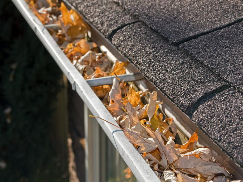 Gutter Maintenance
