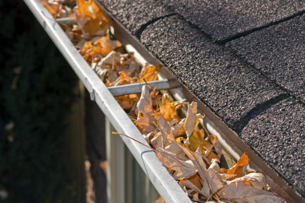 Gutter clogged by leaves and requires gutter cleaning.