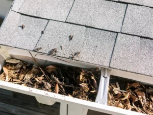 Leaves clogging a gutter prior to installing gutter guards.