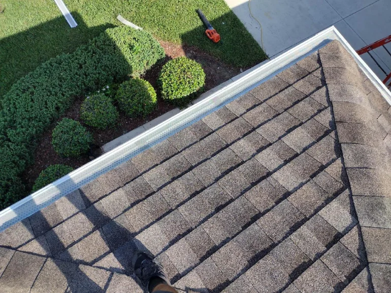 professional gutter cleaning services