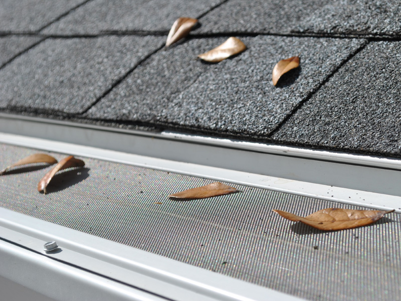 Leaf Filter vs Leaf Guard